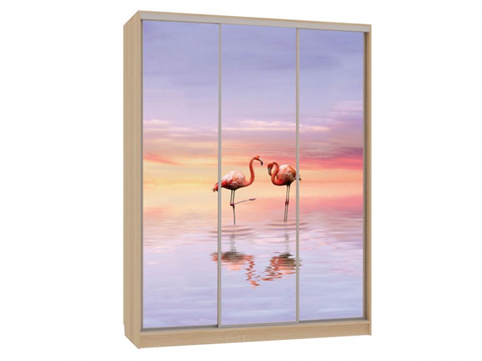 Шкаф-купе Бассо 7-600 19