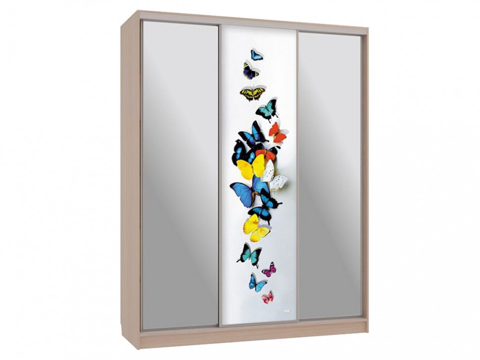 Шкаф-купе Бассо 9-600 88