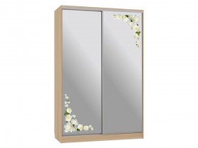 Шкаф-купе Колорадо 4 Розы