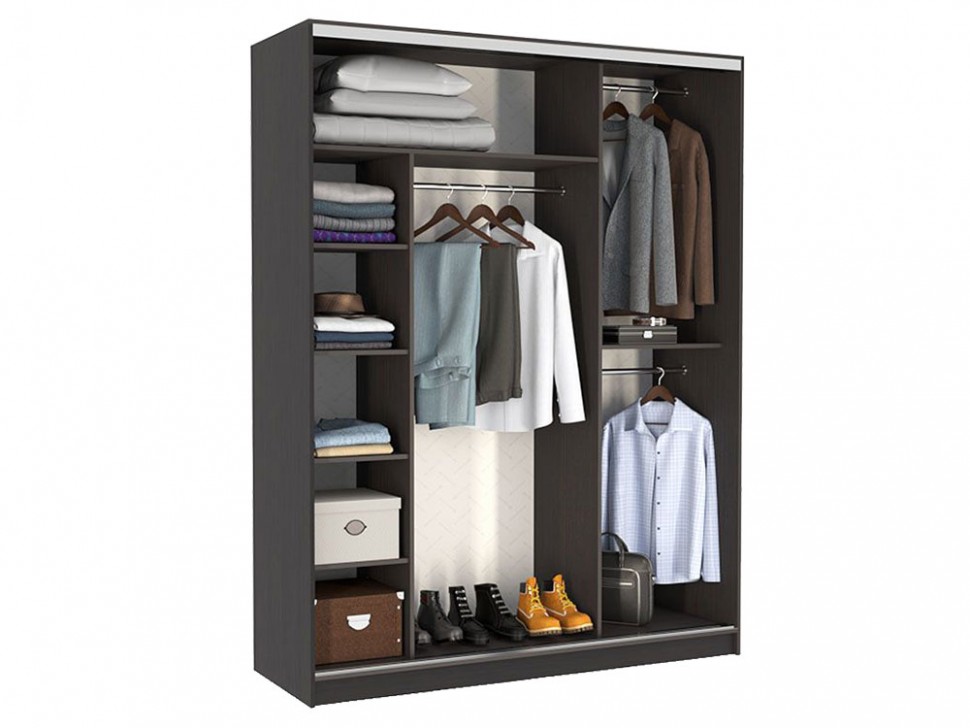 Шкаф-купе Бассо 1-600 птицы