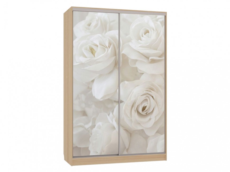 Шкаф-купе Колорадо 7 Розы