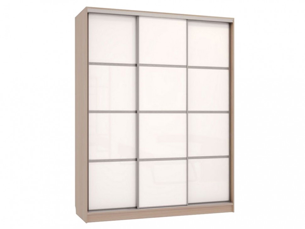 Шкаф-купе Бассо 2