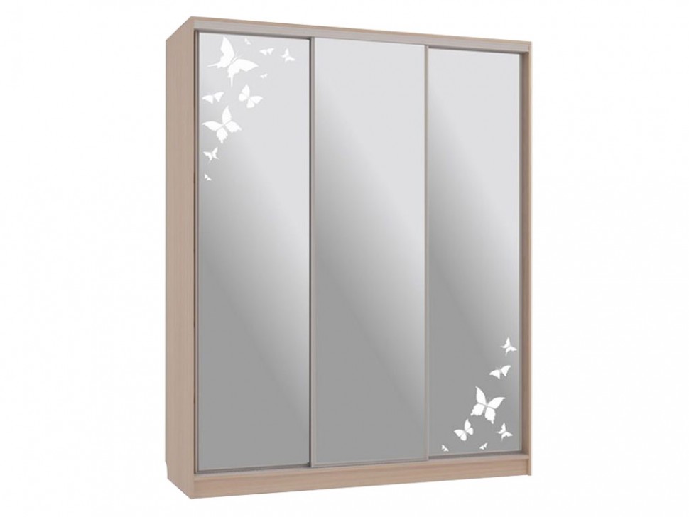 Шкаф-купе Бассо 4 Бабочки