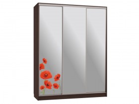 Шкаф-купе Бассо 4 Маки