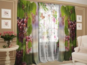 Комплект штор с тюлем Виноградная ветвь