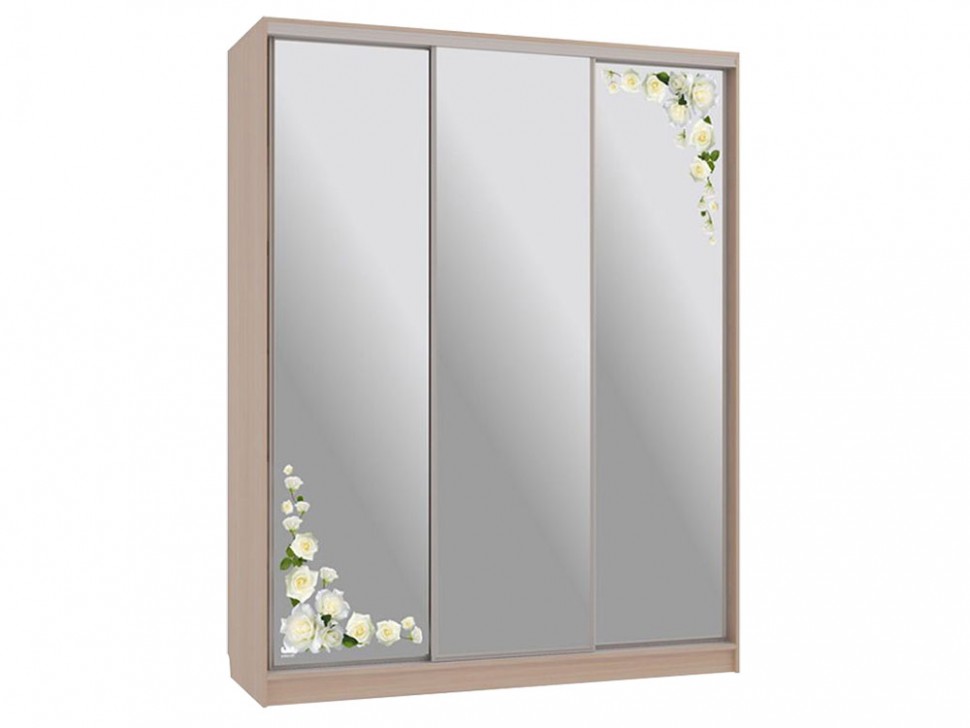 Шкаф-купе Бассо 4 Розы