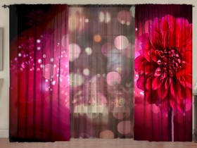 Комплект штор с тюлем Вишневый мусс